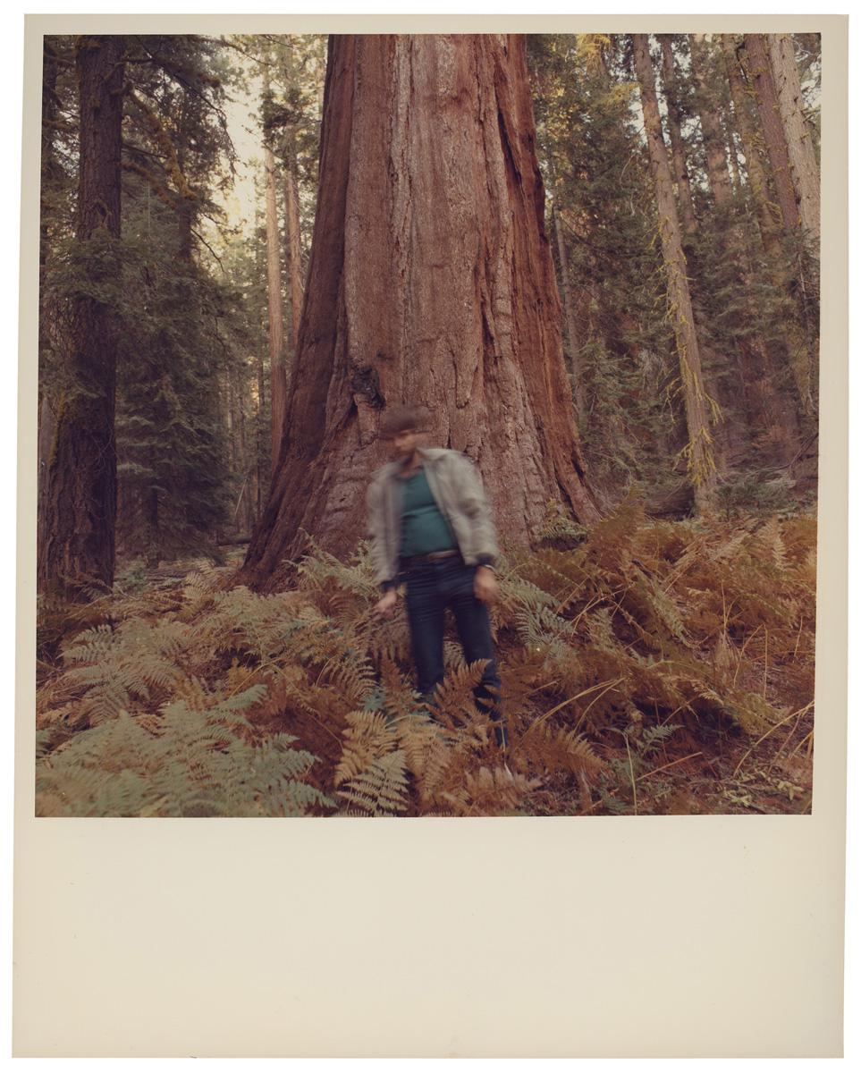 A self portrait of Burtynsky standing in front of a giant tree.