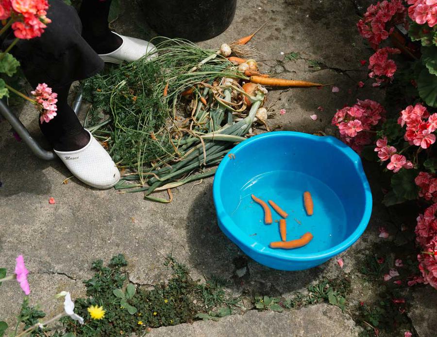 A bowl of carrots at someone's feet in the middle of a garden