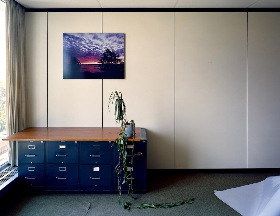 A empty office with a large desk, potted plant, and a framed photograph of a sunset