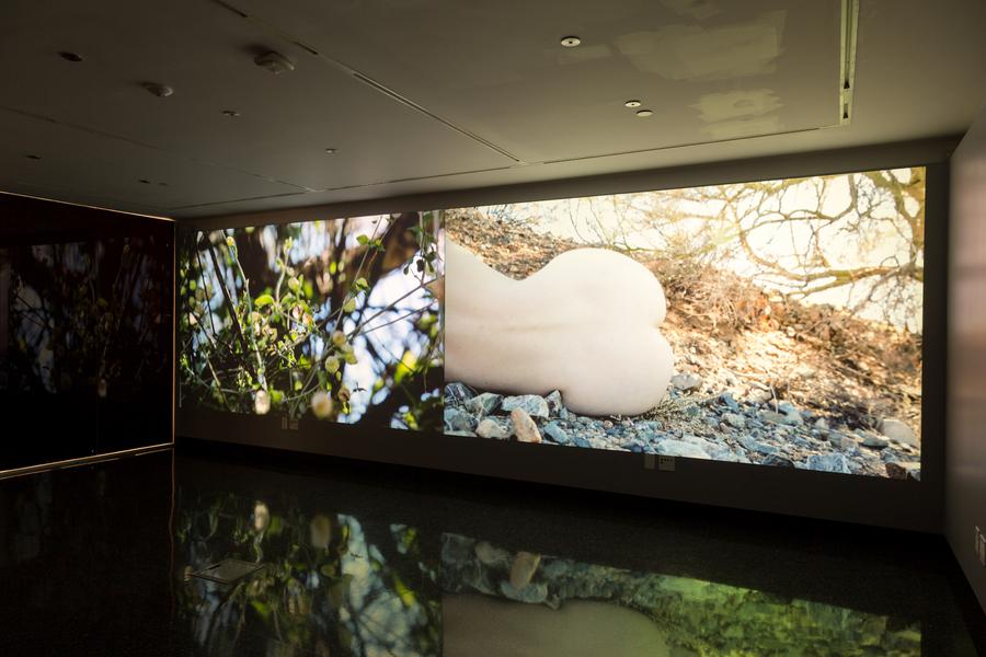 Two video stills. On the left, a plant. On the right, a nude woman laying on the ground