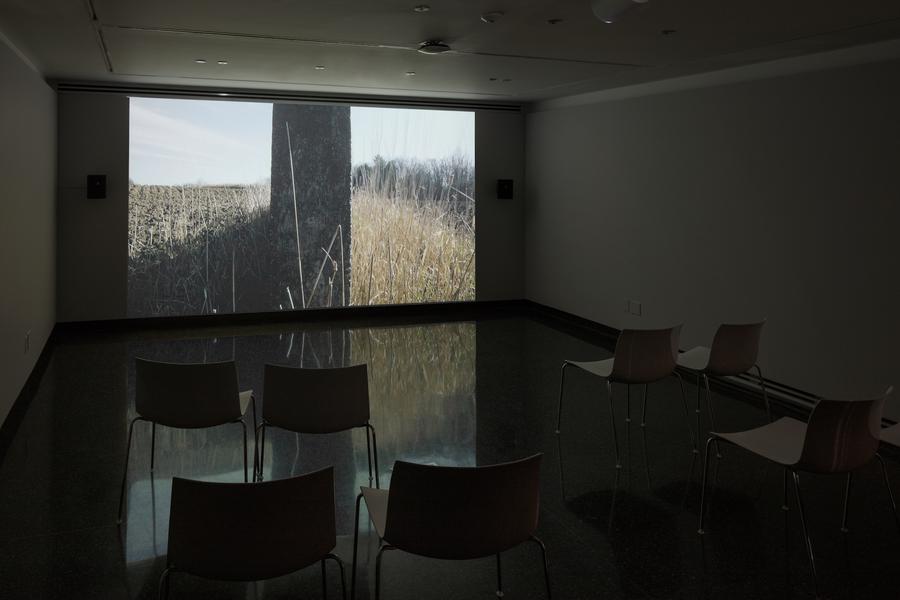 A projected video still of a field