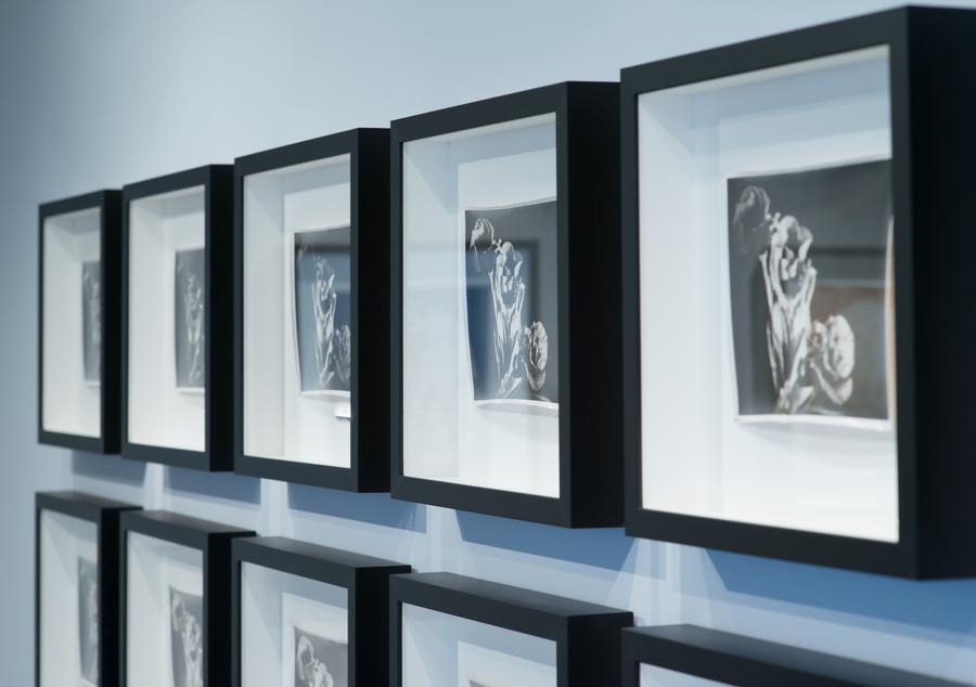 Side view of black frames arranged in two lines, each containing a photograph of wilted flowers