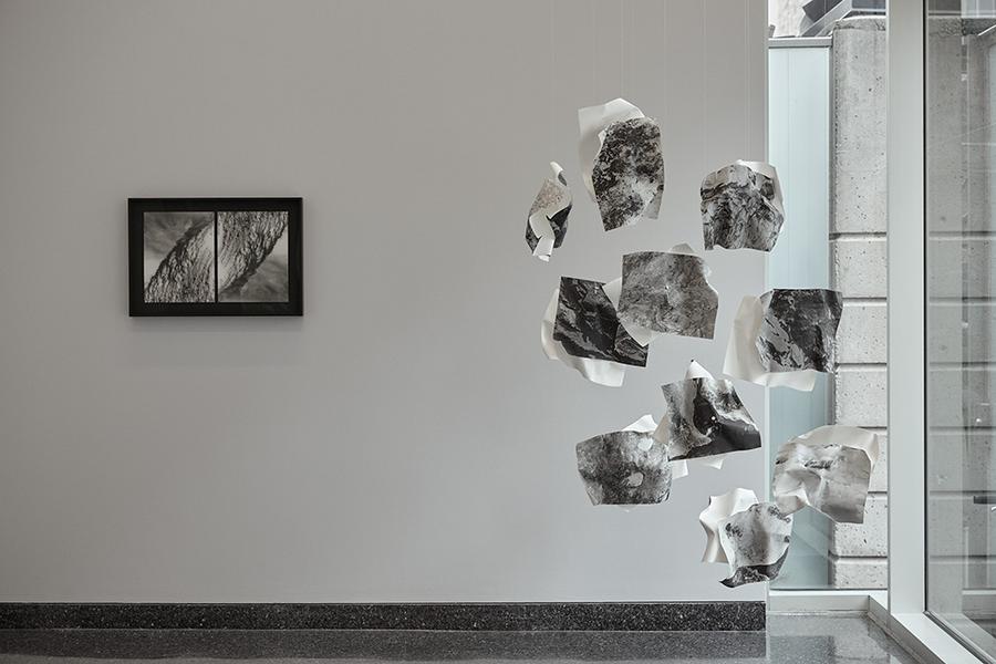 sculpted gelatin silver prints hanging in the exhibition space