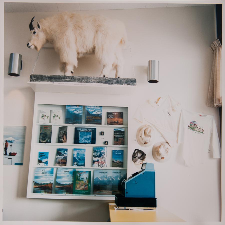 A wall display in a shop: a shelf of blue books and pamphlets, a stuffed animal, tshirts and hats, and a cash register