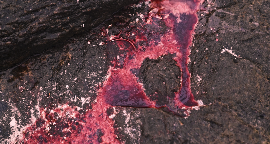 Thick red blood runs over the creases of a large rock.