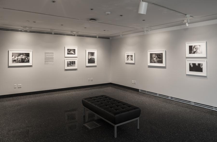 Framed photographs hanging in a gallery