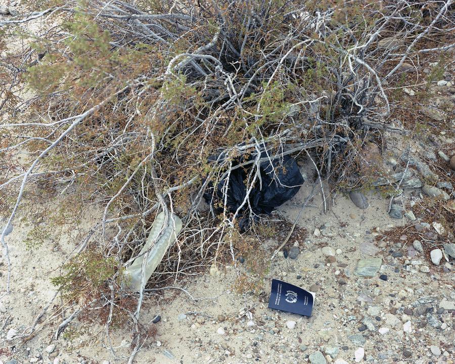 A passport and water bottle tangled in the branches of a bush