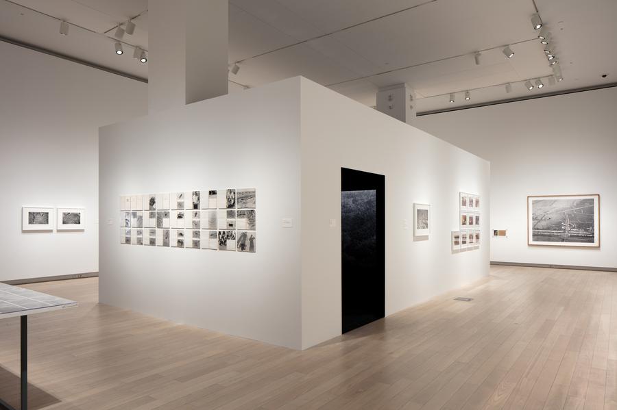 Installation view of A Handful of Dust.