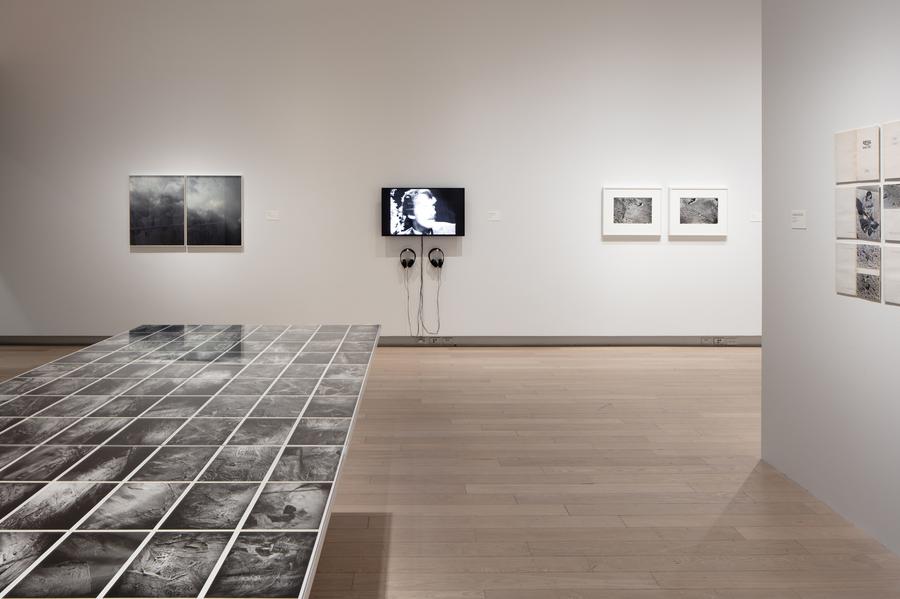 Installation view of A Handful of Dust.