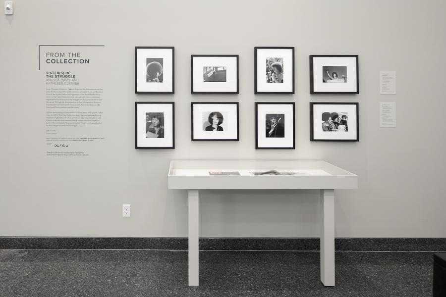 8 photographs in black frames hung on a white wall above a white display case
