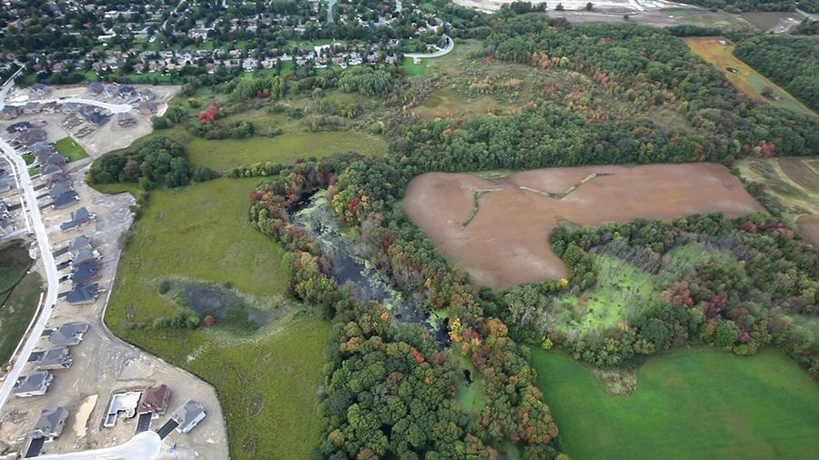 Aerial view of a forest, with houses backing onto the left