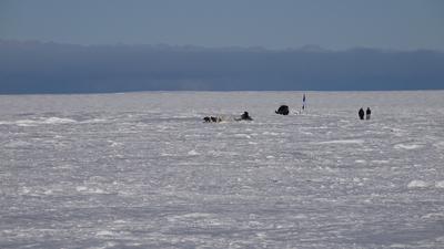A video still of snow-covered tundra with small figures in the distance of a dogsled team
